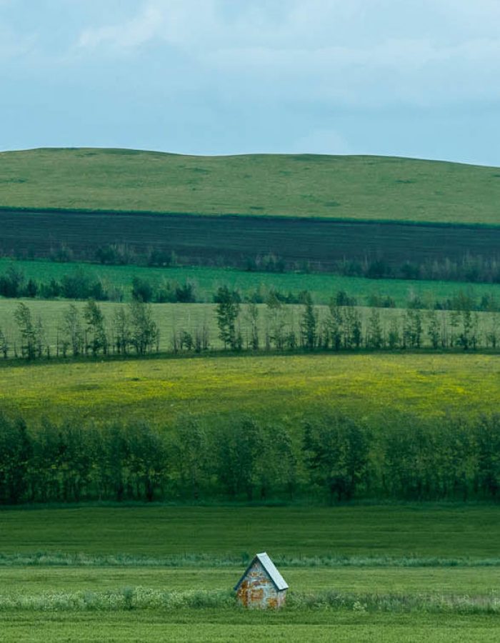 R_grassland-unsplash_d z